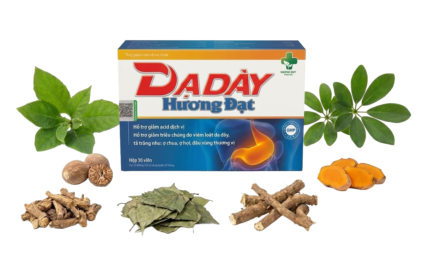 Sản phẩm Dạ Dày Hương Đạt